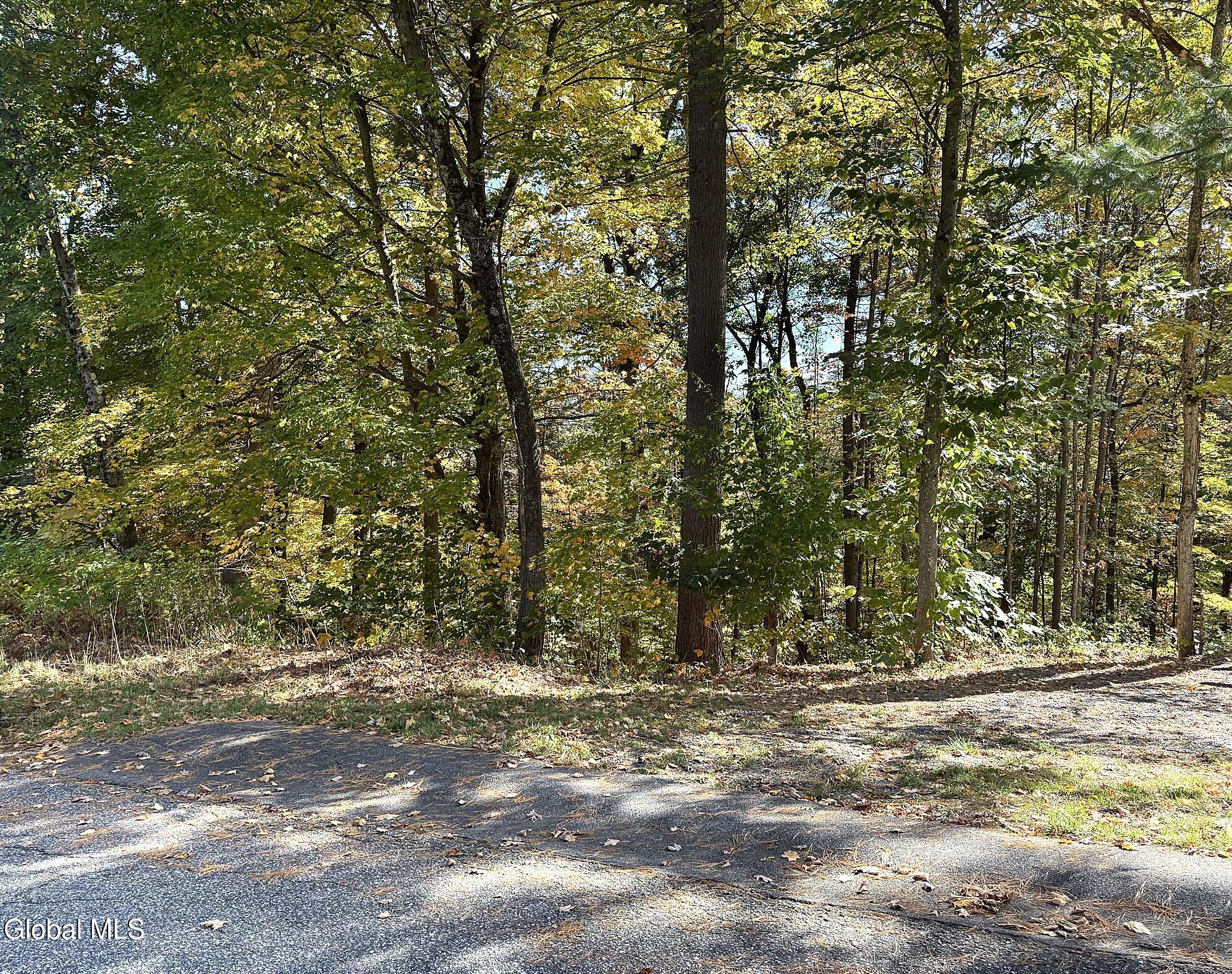 32 Schermerhorn Drive Lake George NY 12845