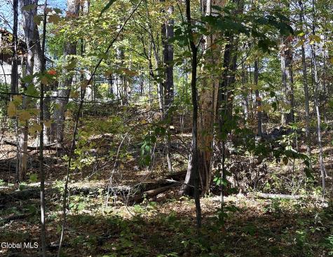 32 Schermerhorn Drive Lake George NY 12845