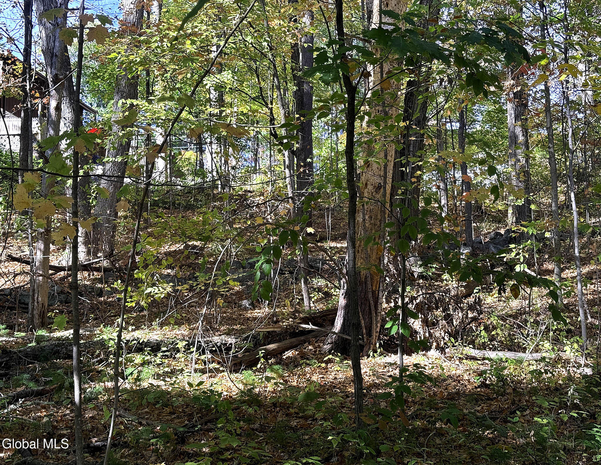 32 Schermerhorn Drive Lake George NY 12845