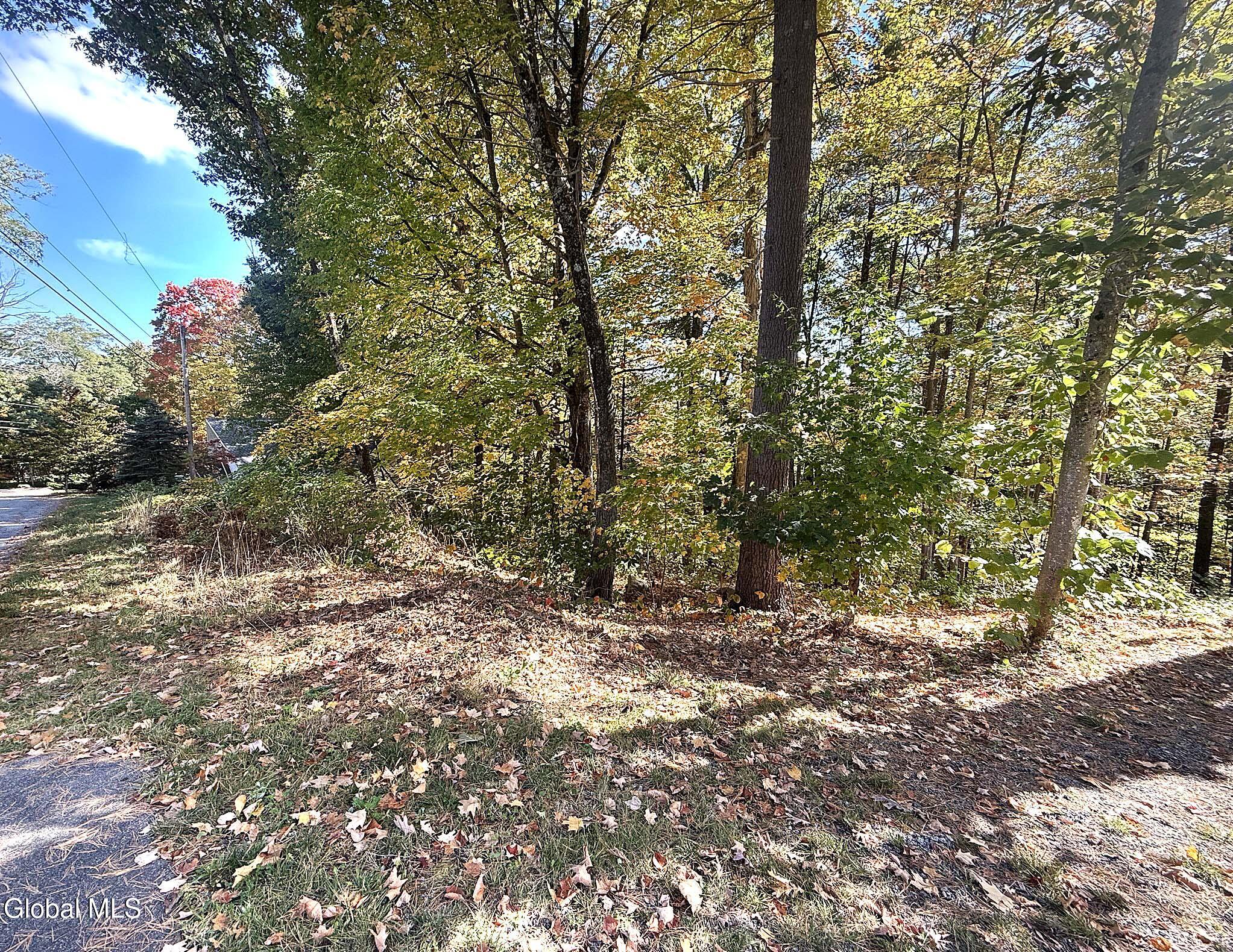 32 Schermerhorn Drive Lake George NY 12845