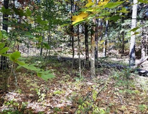 32 Schermerhorn Drive Lake George NY 12845