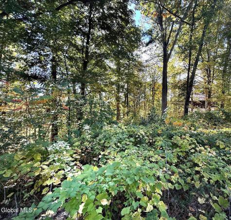 32 Schermerhorn Drive Lake George NY 12845