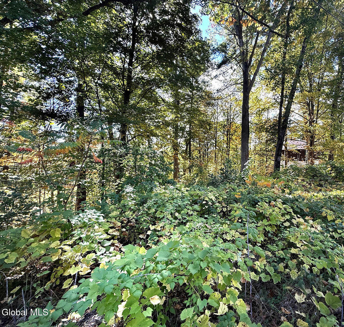 32 Schermerhorn Drive Lake George NY 12845