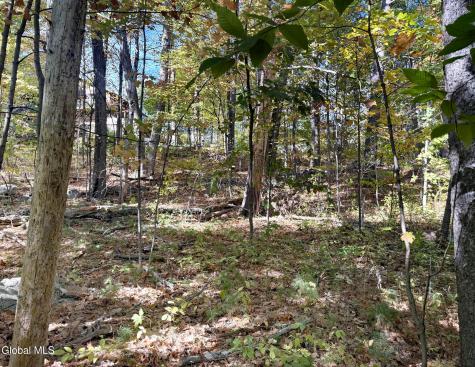 32 Schermerhorn Drive Lake George NY 12845