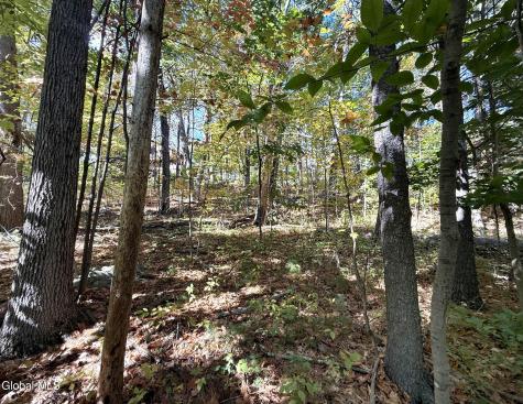 32 Schermerhorn Drive Lake George NY 12845