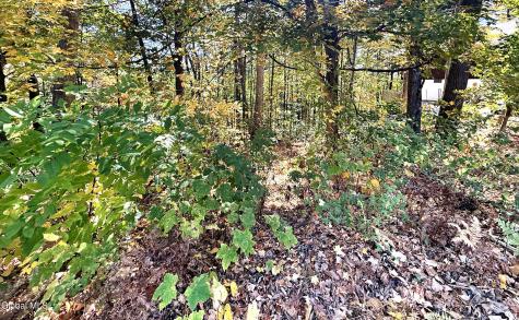 32 Schermerhorn Drive Lake George NY 12845