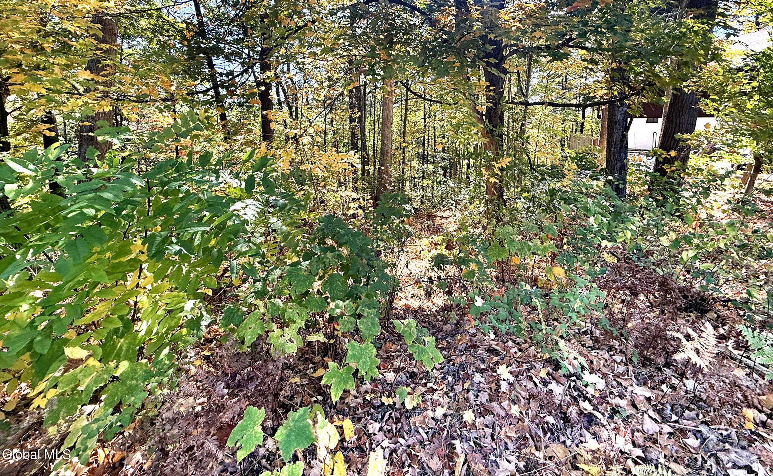 32 Schermerhorn Drive Lake George NY 12845