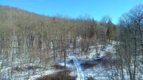 L1 Peakville Road Hancock NY 13783