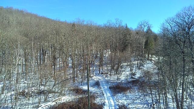 L1 Peakville Road Hancock NY 13783