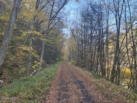 L1 Peakville Road Hancock NY 13783