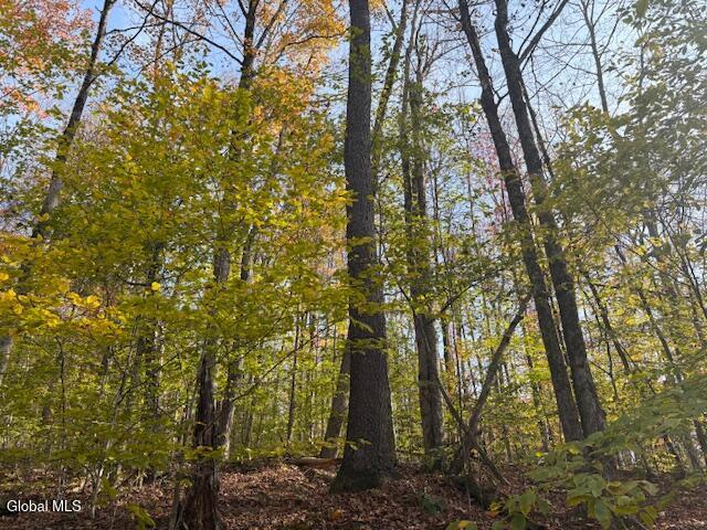 L1 Peakville Road Hancock NY 13783
