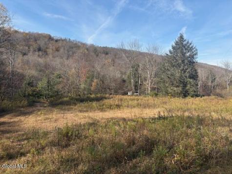 L1 Peakville Road Hancock NY 13783