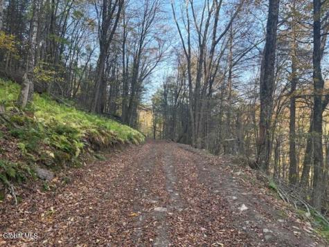 L1 Peakville Road Hancock NY 13783