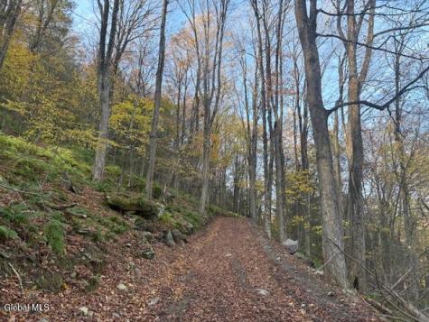 L1 Peakville Road Hancock NY 13783