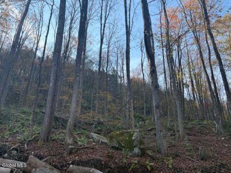 L1 Peakville Road Hancock NY 13783
