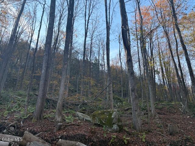 L1 Peakville Road Hancock NY 13783