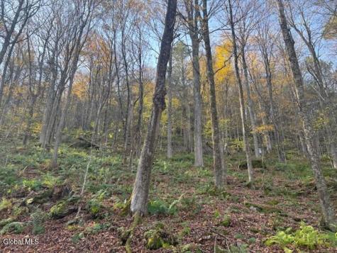 L1 Peakville Road Hancock NY 13783