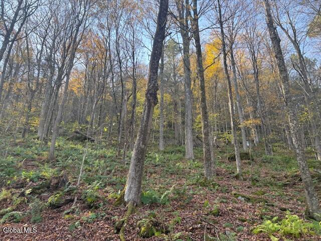 L1 Peakville Road Hancock NY 13783