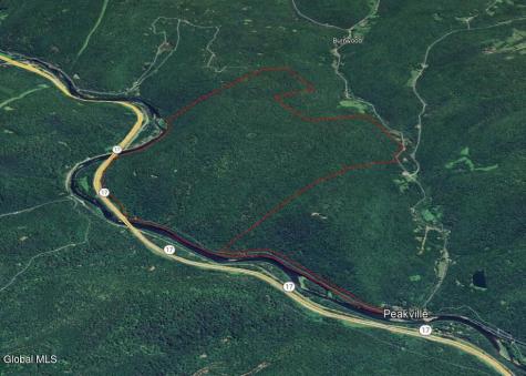 L1 Peakville Road Hancock NY 13783