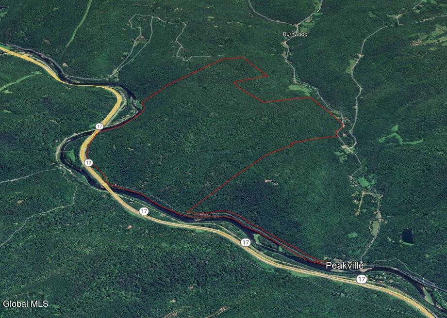L1 Peakville Road Hancock NY 13783