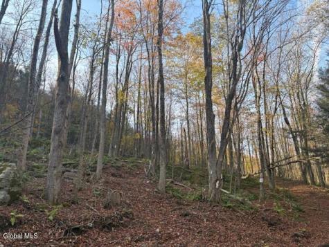 L1 Peakville Road Hancock NY 13783