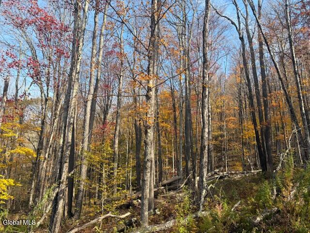 L1 Peakville Road Hancock NY 13783