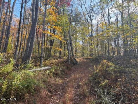 L1 Peakville Road Hancock NY 13783