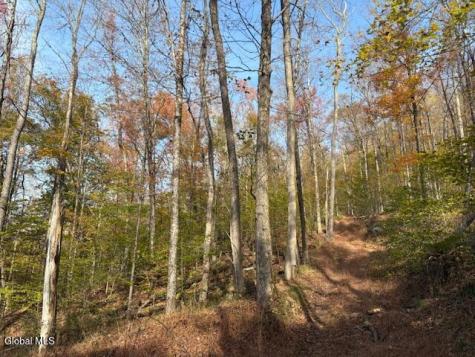 L1 Peakville Road Hancock NY 13783