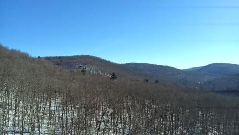 L1 Peakville Road Hancock NY 13783