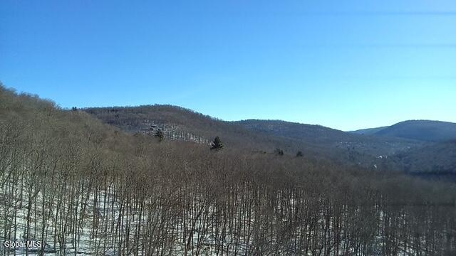 L1 Peakville Road Hancock NY 13783
