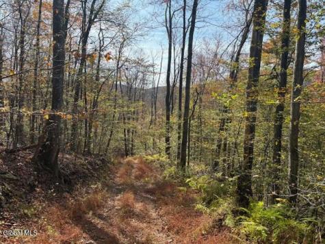 L1 Peakville Road Hancock NY 13783