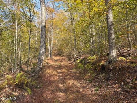 L1 Peakville Road Hancock NY 13783