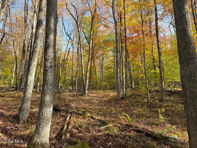 L1 Peakville Road Hancock NY 13783