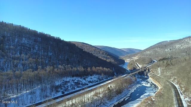 L1 Peakville Road Hancock NY 13783