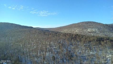 L1 Peakville Road Hancock NY 13783