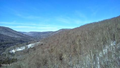 L1 Peakville Road Hancock NY 13783