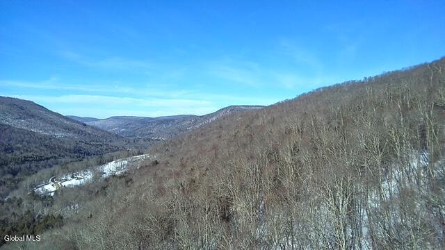 L1 Peakville Road Hancock NY 13783