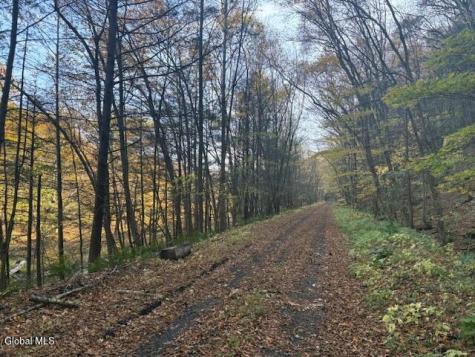 L1 Peakville Road Hancock NY 13783