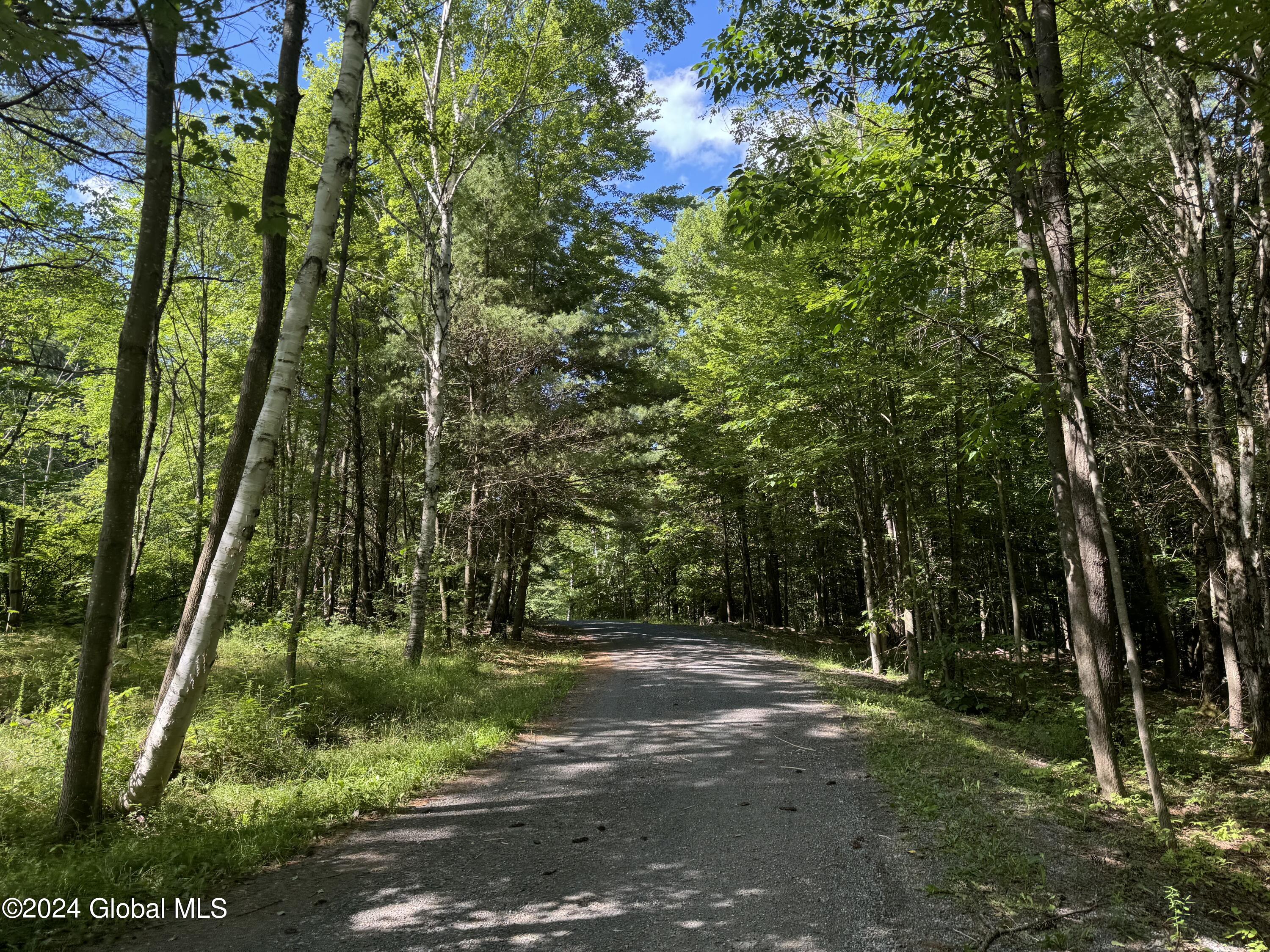564 Valley Woods Road Bolton Landing NY 12814