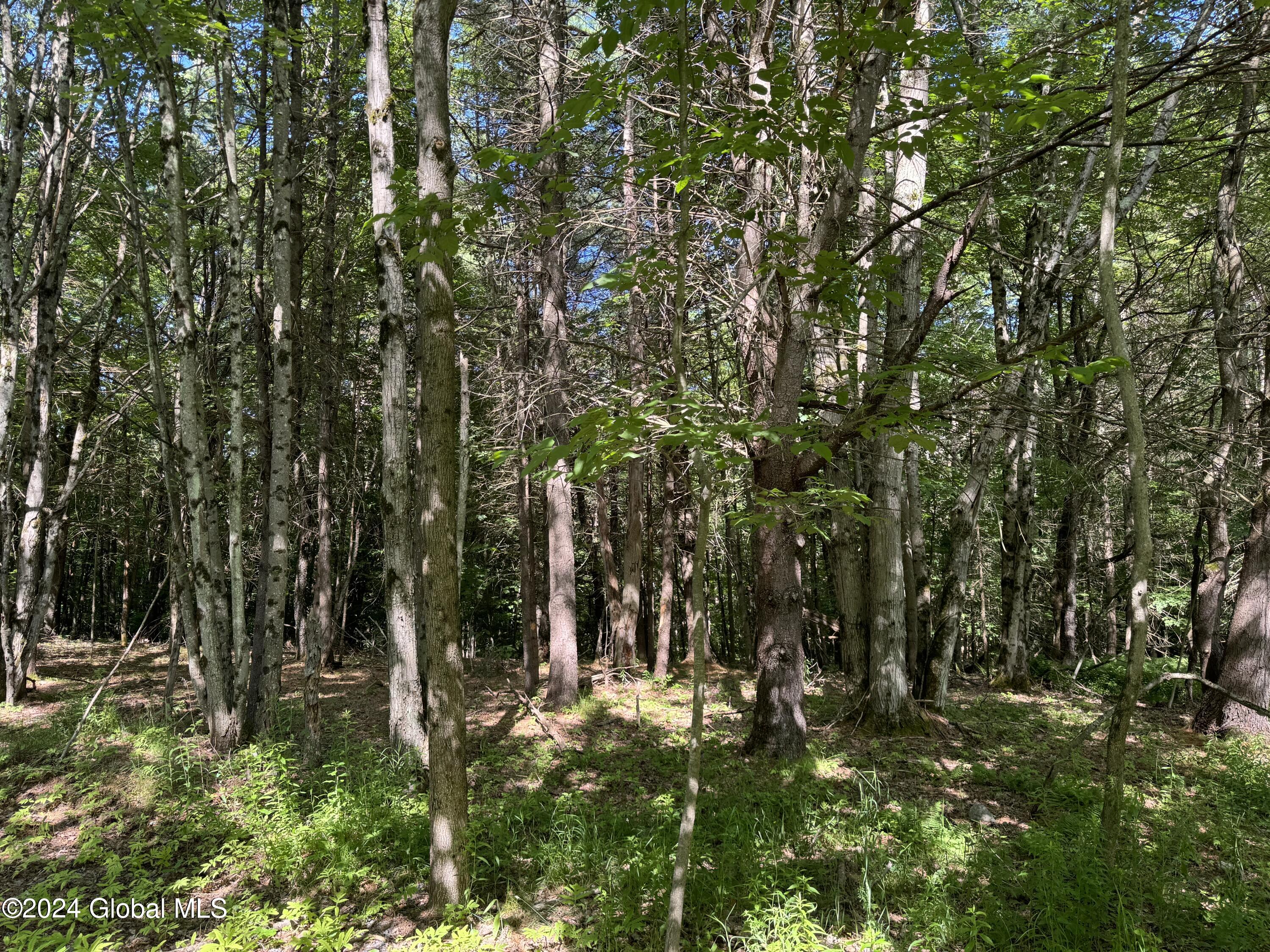 564 Valley Woods Road Bolton Landing NY 12814