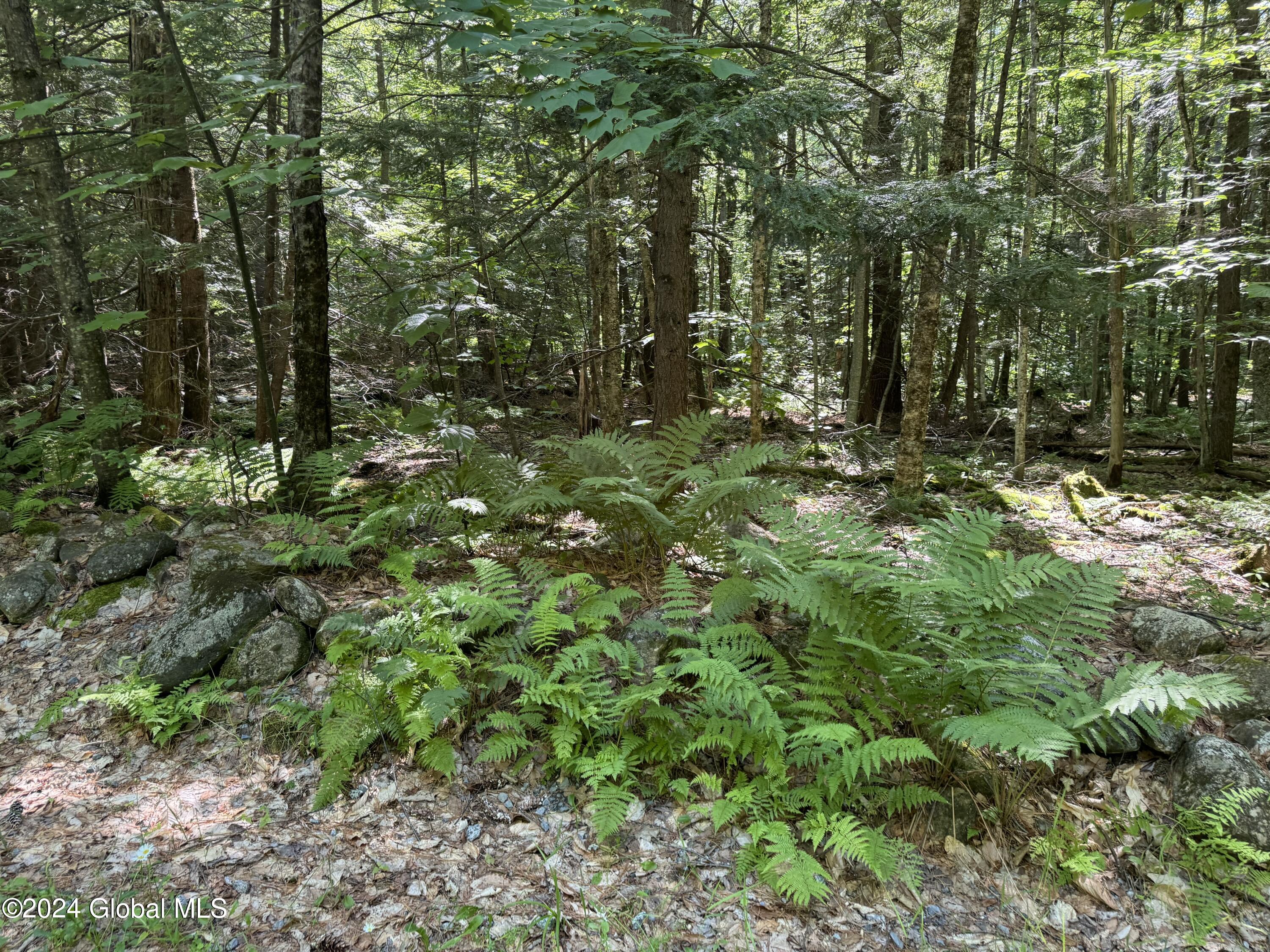 564 Valley Woods Road Bolton Landing NY 12814