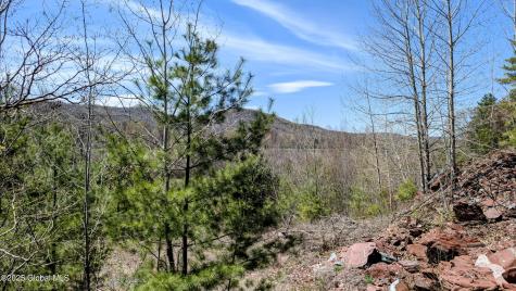 L3.5 County Route 24/e Off Granville NY 12832