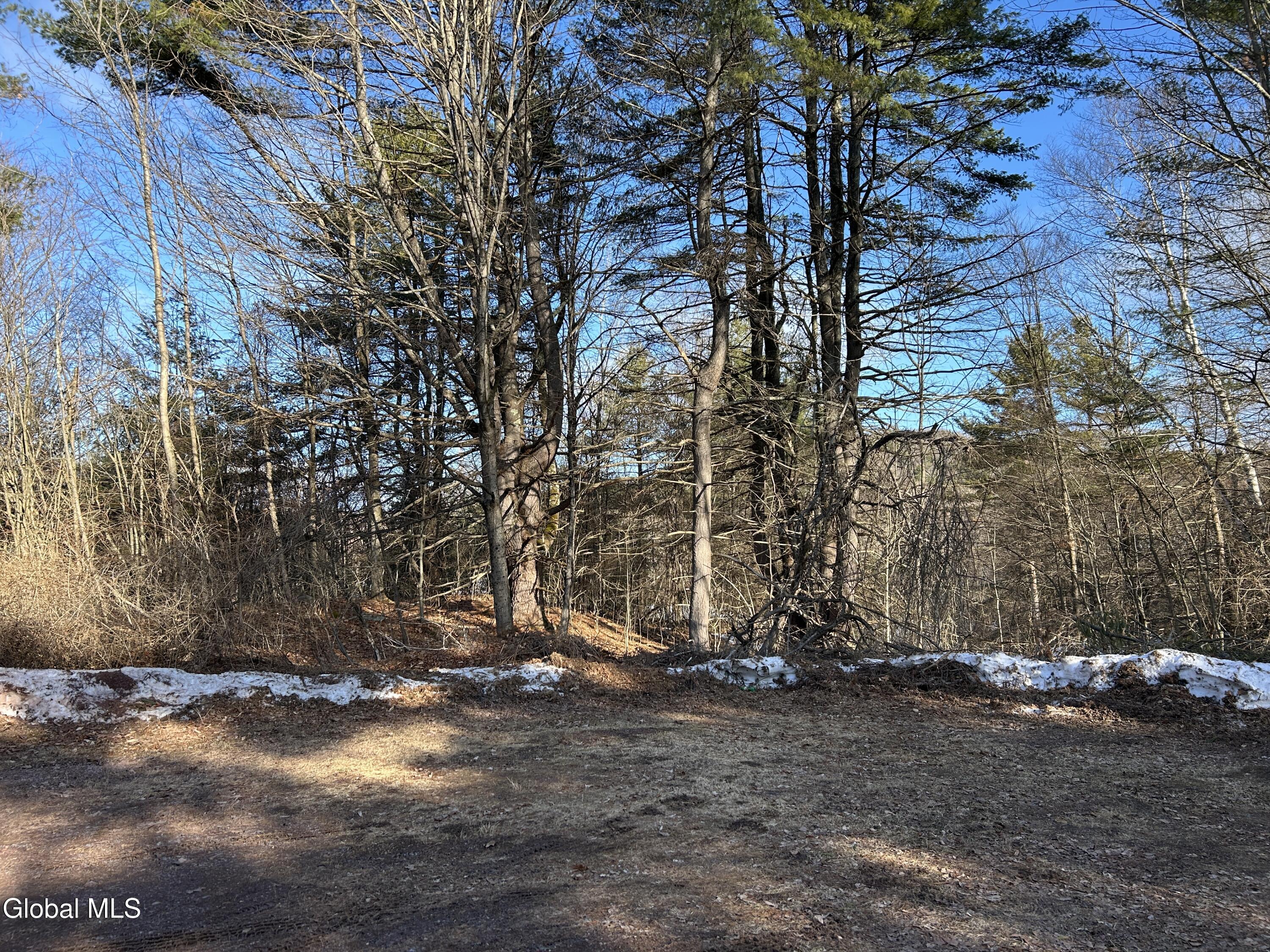 0 County Route 21 Off Whitehall NY 12887