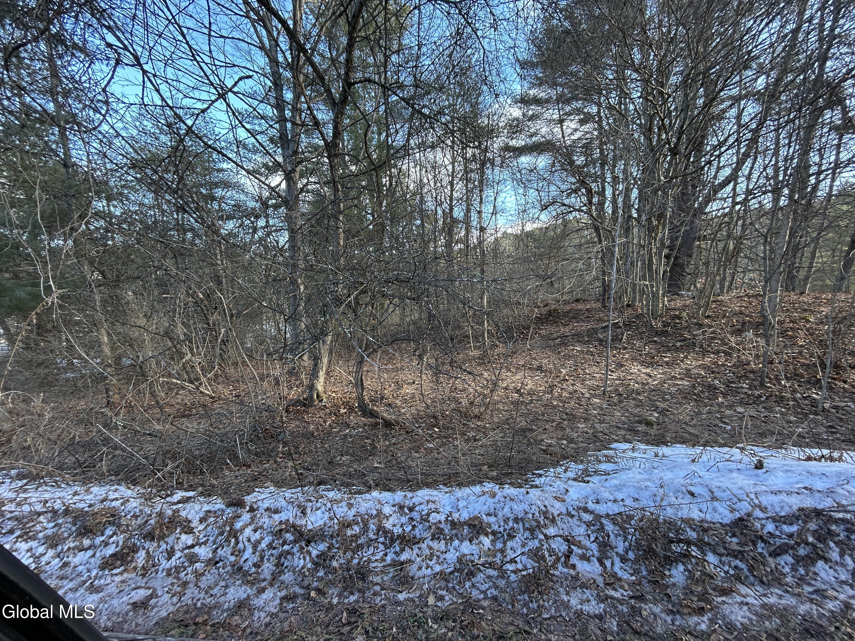 0 County Route 21 Off Whitehall NY 12887