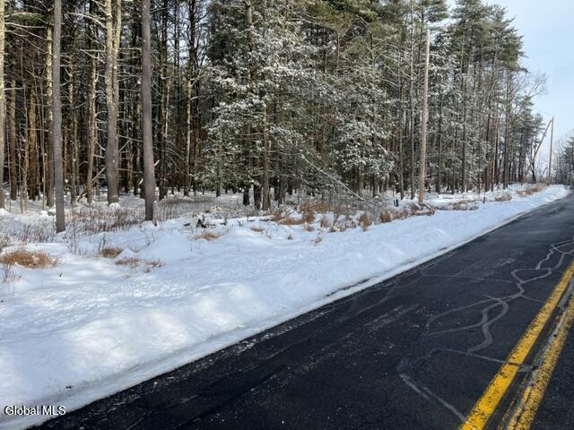 51 Circle Drive West Coxsackie NY 12192
