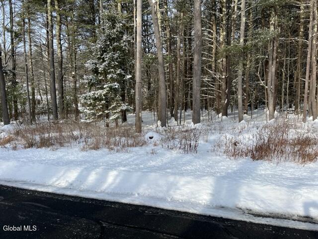 51 Circle Drive West Coxsackie NY 12192