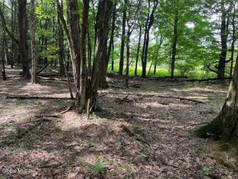 51 Circle Drive West Coxsackie NY 12192