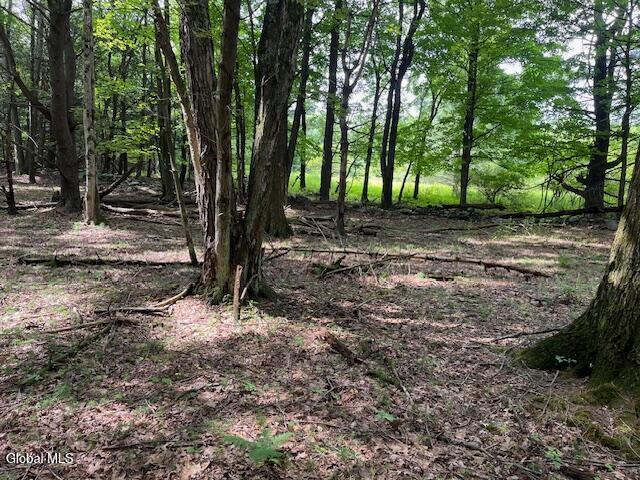 51 Circle Drive West Coxsackie NY 12192