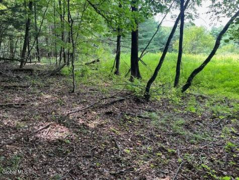 51 Circle Drive West Coxsackie NY 12192