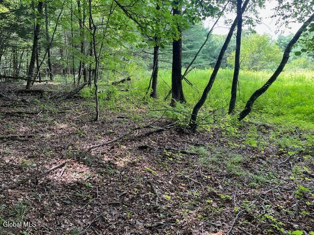 51 Circle Drive West Coxsackie NY 12192